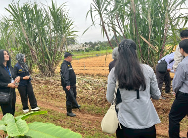 ร่วมสังเกตการณ์ คณะกรมสหกรณ์และพัฒนาชนบทเมียนมาร์ ... พารามิเตอร์รูปภาพ 44